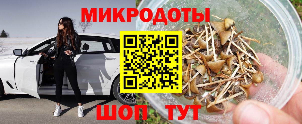 Псилоцибиновые грибы мухоморы  хочу наркоту  Новочебоксарск  Галлюциногенные грибы ЛСД  Вход с VPN 