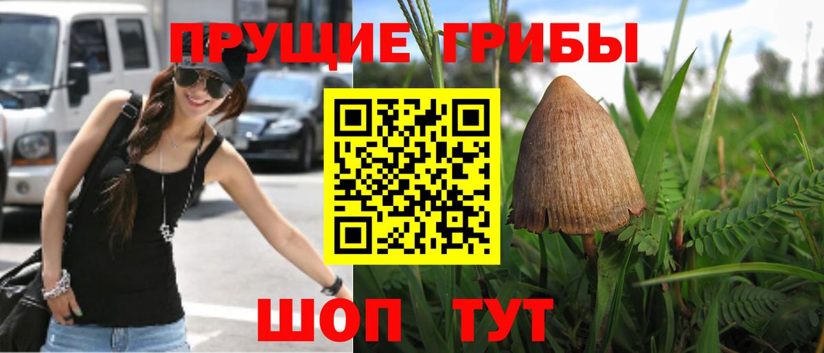 Галлюциногенные грибы Magic Shrooms Новочебоксарск